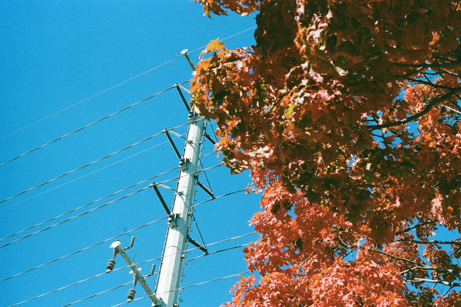 Oct '24 - Fujifilm 600