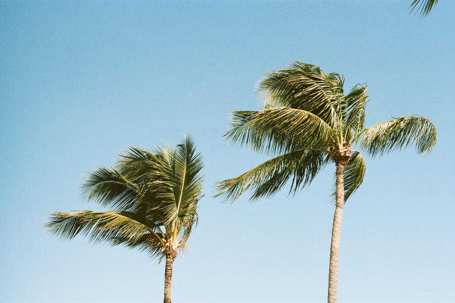 Puerto Rico - Jan '25 - Fujifilm 600
